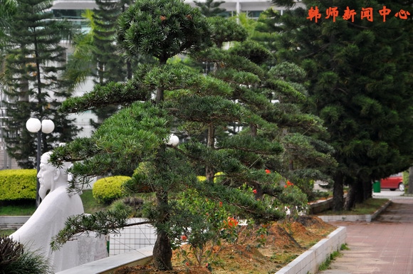 我院校董詹建怀被中共中央、国务院授予“全国劳动模范”光荣称号