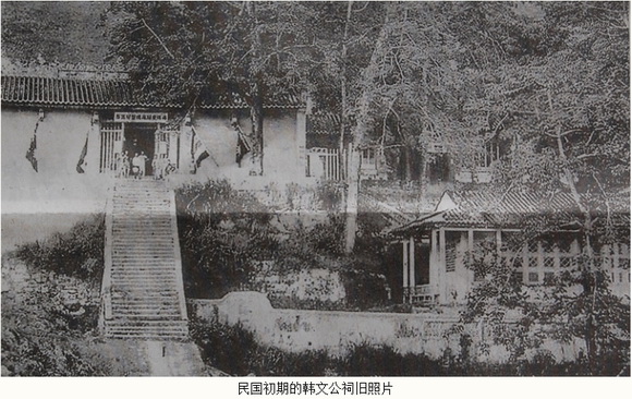 见证韩师百年变迁与发展的两棵老树
